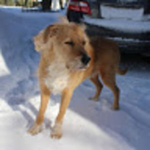 Meet your Posher, Arianne